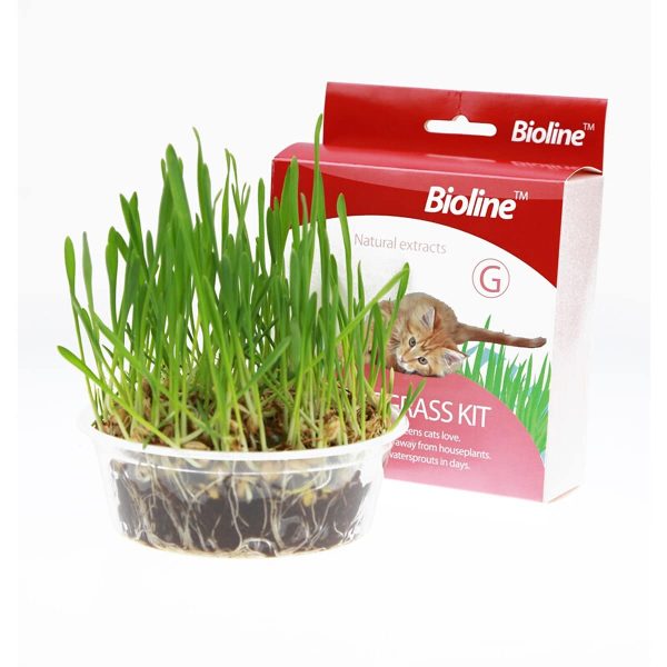 BIOLINE Cat Grass Kit