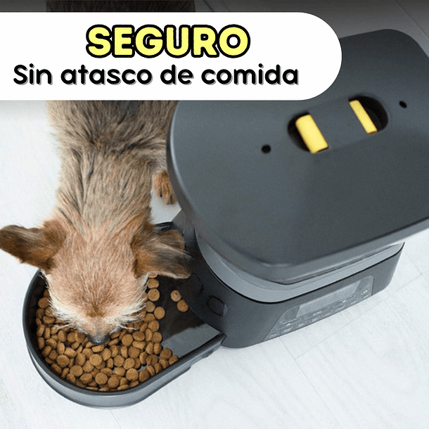 Alimentador Automático Gamma2 Nano